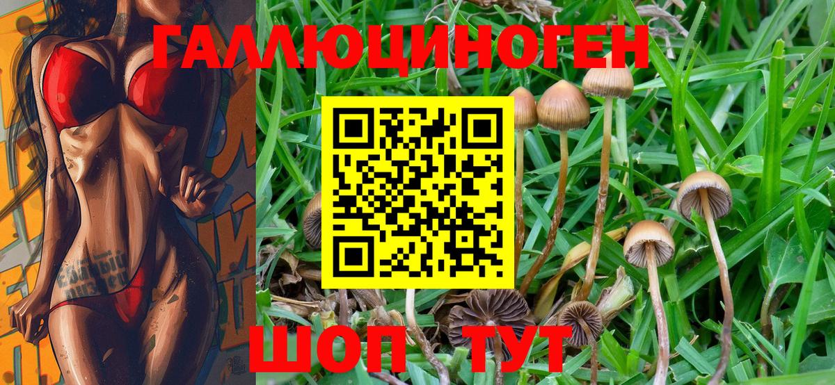 Псилоцибиновые грибы MAGIC MUSHROOMS  Псилоцибиновые грибы Magic Shrooms  Вход с VPN  Долгопрудный 